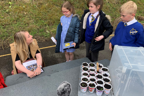Sara Britcliffe MP discusses with pupils at St. Mary’s how What More’s Wham Boxes make improvised greenhouses to grow vegetables.