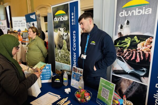 There will be a wealth of live job opportunities on offer